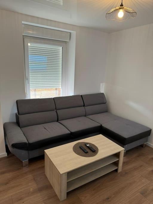 Appartement La Citadelle Belfort Bagian luar foto